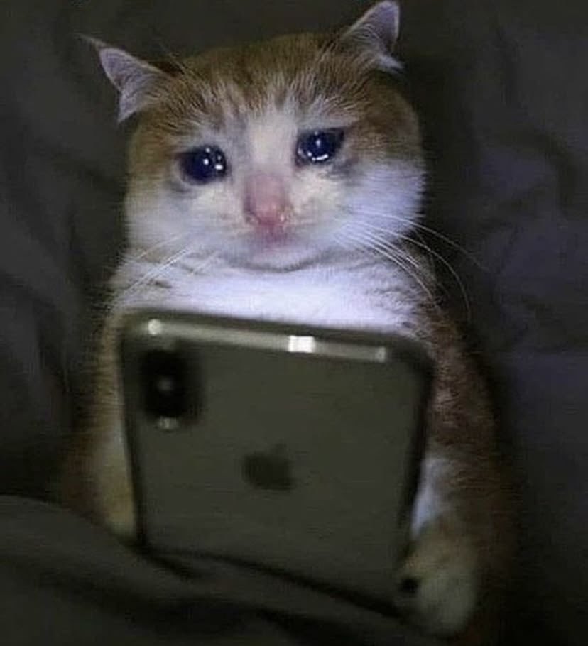 Hope⁷ ◡̈ ⟭⟬ ⦿ ☰ ☲ tweet media