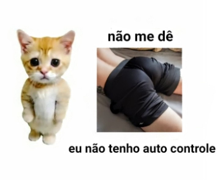 𝐏𝐀𝐍𝐆𝐎𝐋𝐈𝐌 tweet media