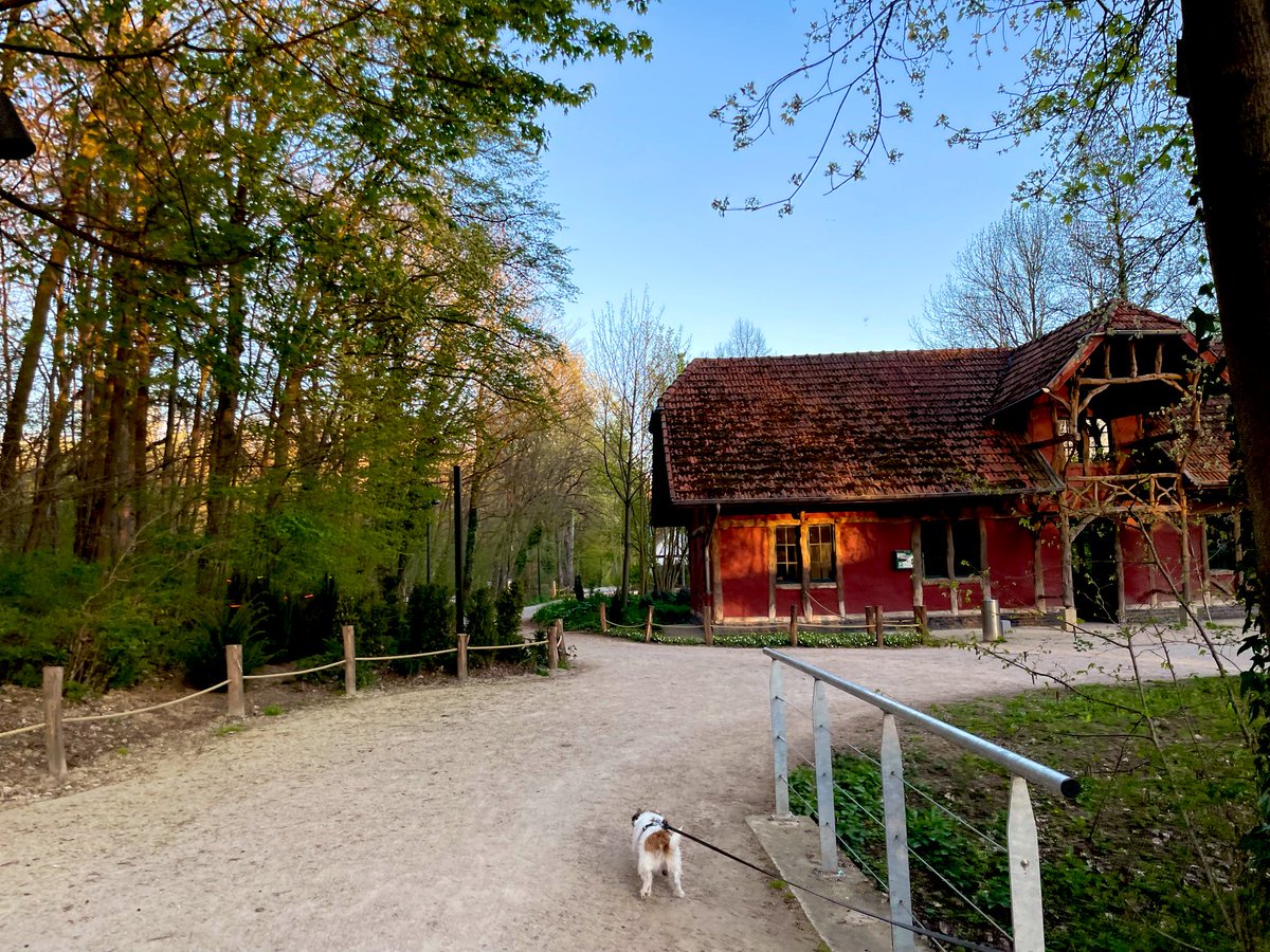 Ingepalmd's tweet photo. Sint-Truiden (Natuurpark Nieuwenhoven) 19u49

#vrtweer #altijdlimburg #avondwandeling 
#jackrussellterrier https://t.co/1He04ib8i4