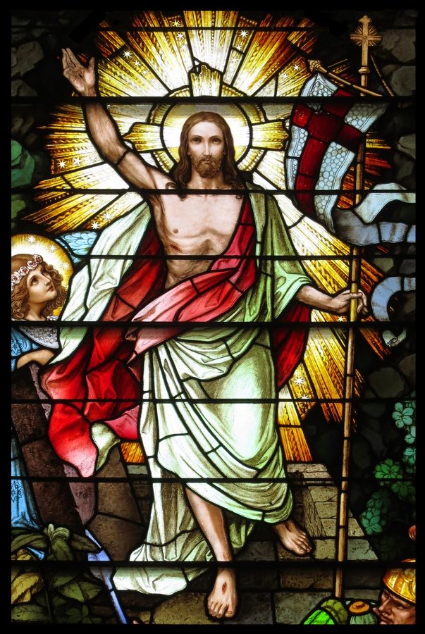 𝘍𝘙❄️𝘚𝘛𝘠 tweet media