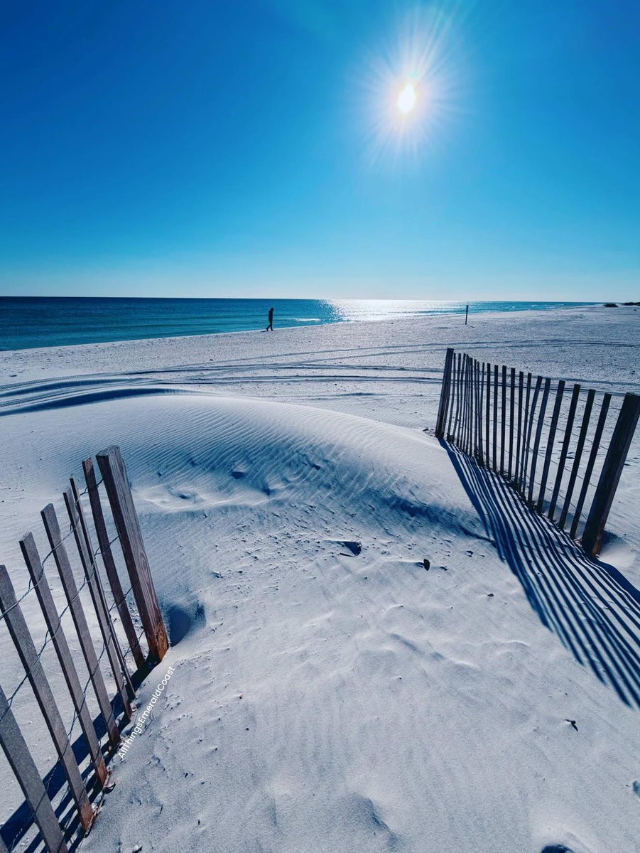 All Things Emerald Coast tweet media