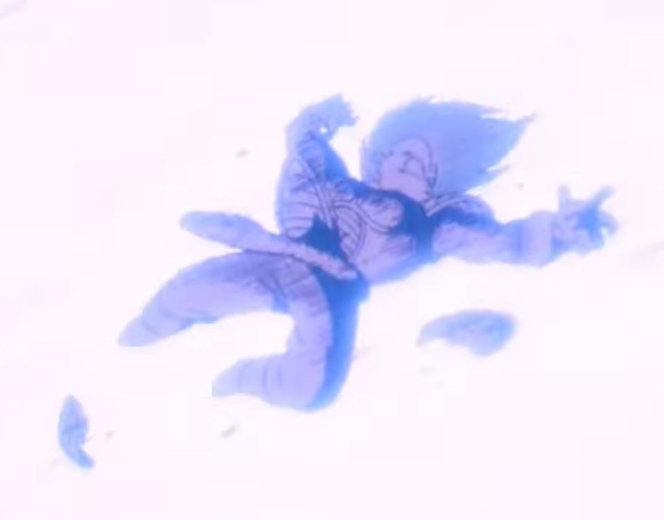 SOCK // TIGER tweet media