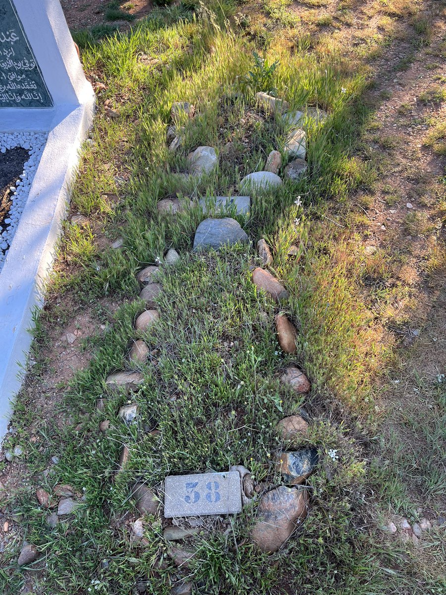 alaa🇲🇦 tweet media