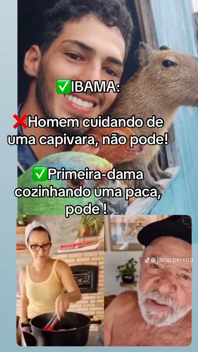 focanimale 🏳️🌈 tweet media