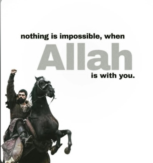 Ilham🇳🇬🇵🇸♥️ tweet media