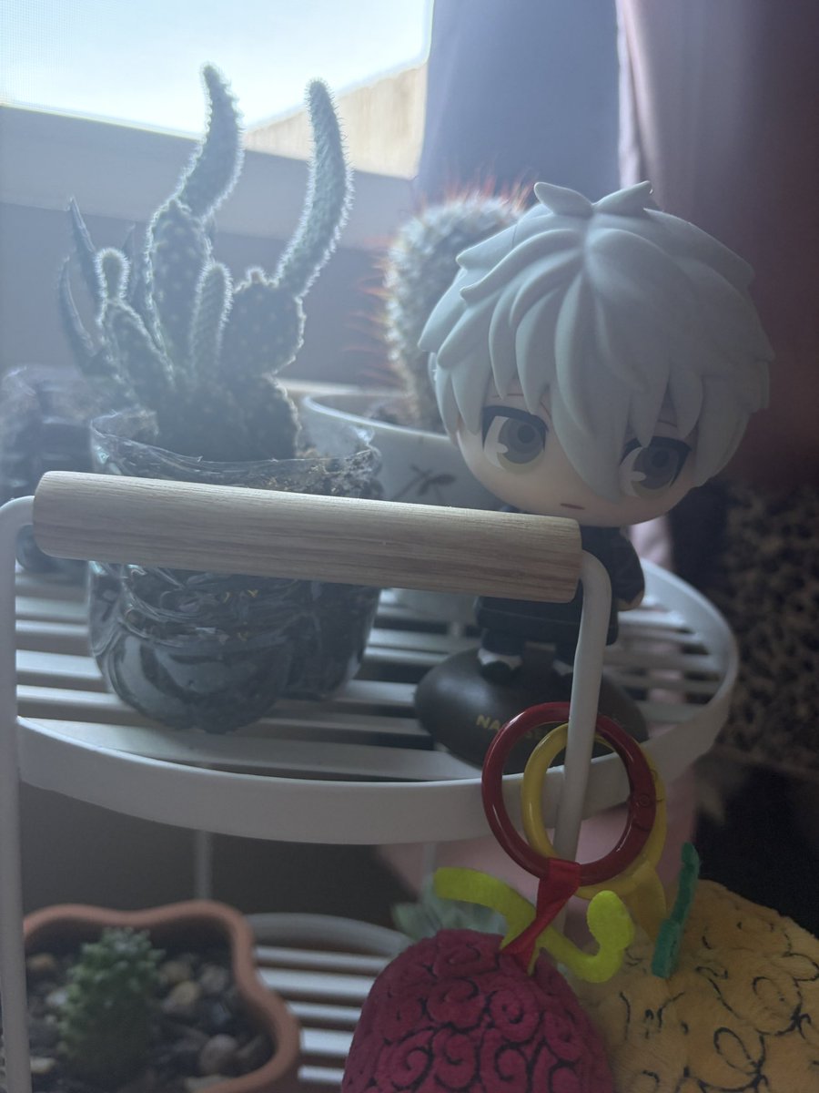 WHERE IS NAGI tweet media