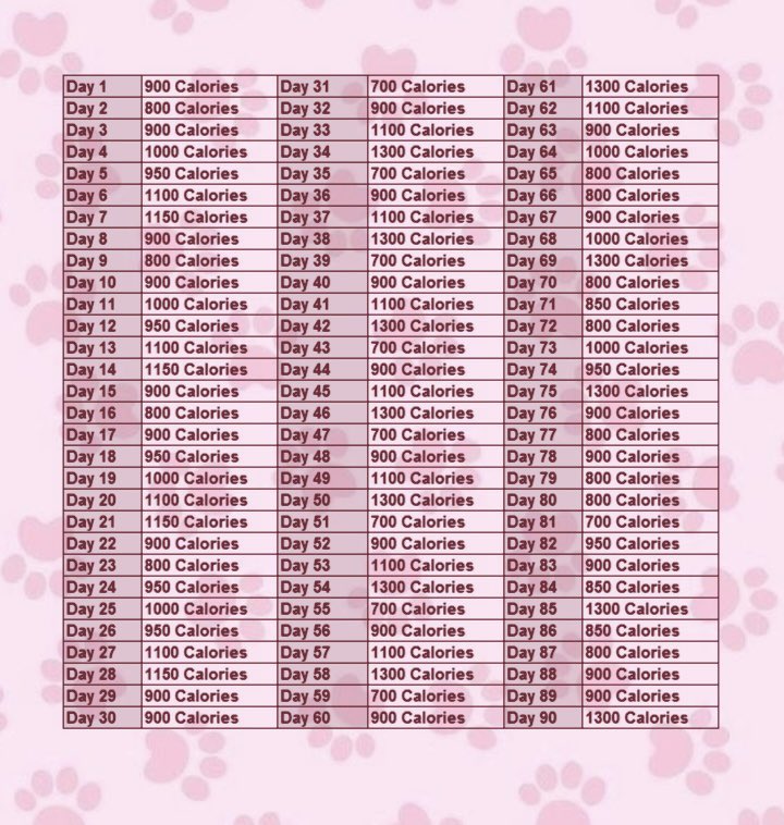 tara (0/17) tweet media