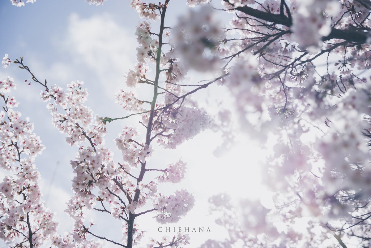 本日はロケ撮影、たのしみ