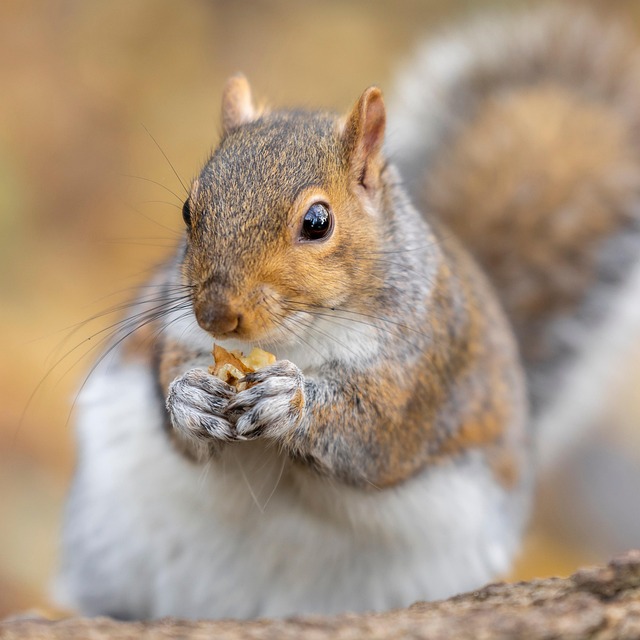 Alex Jackson tweet media