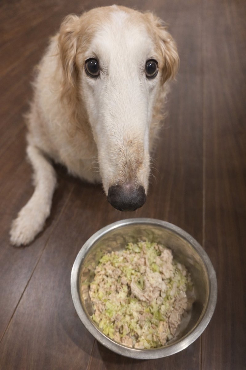 ヒビキ@1年と少し tweet media