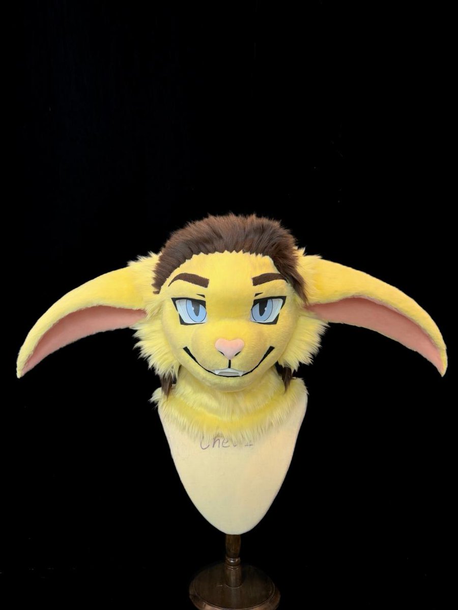 World's greatest Basitin oat