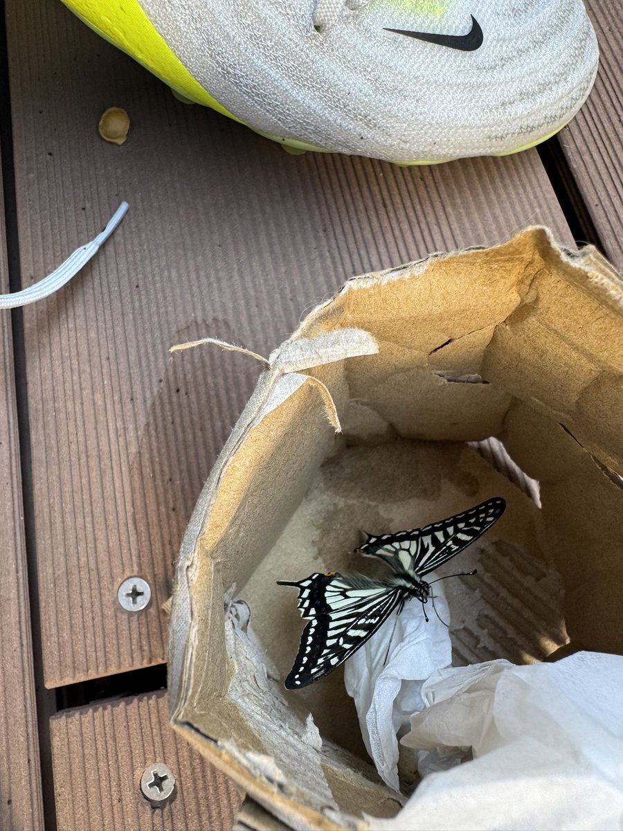 RAZOR 衍龍 tweet media