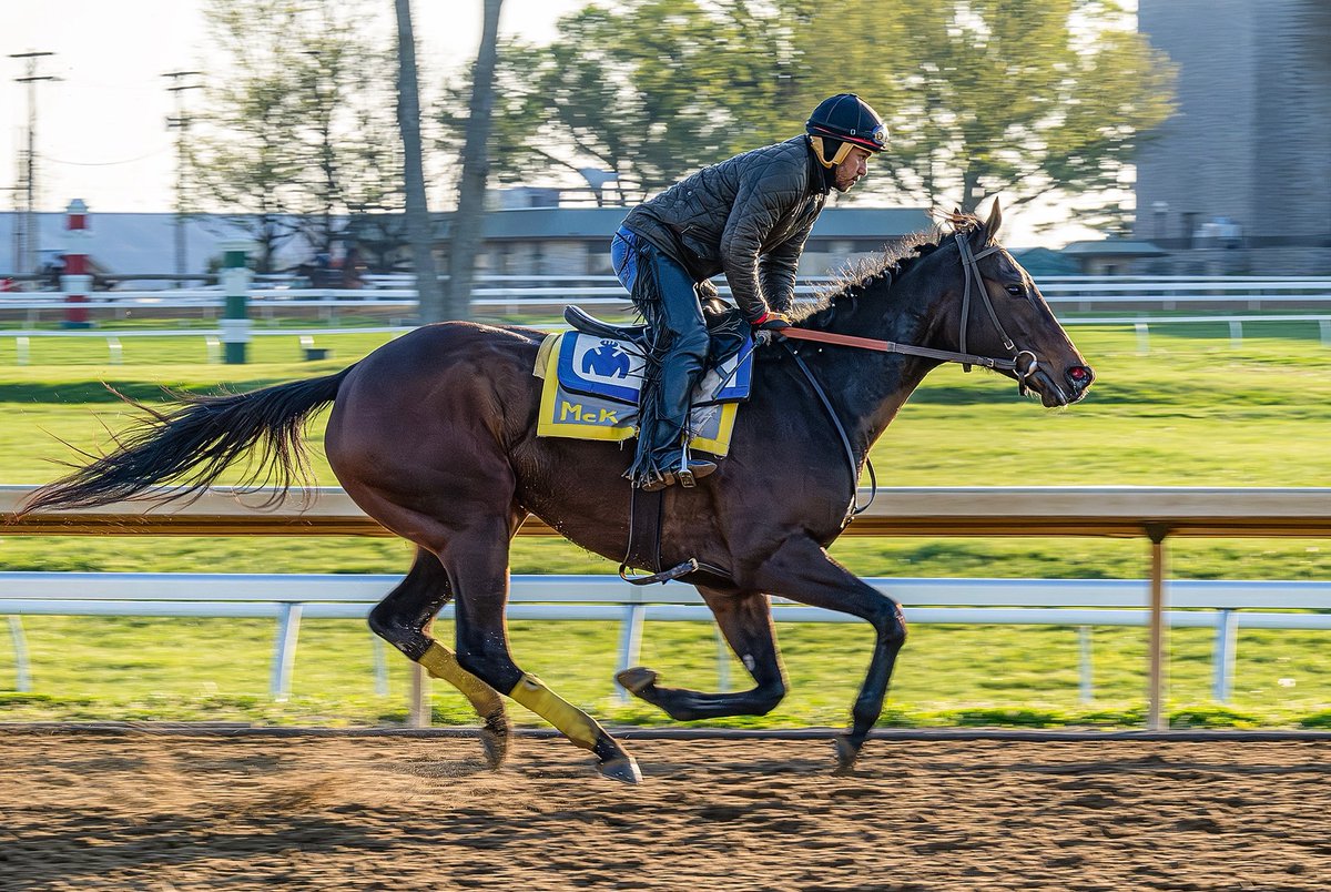Mojo Filly stretching her legs this morning <a href="/keeneland/">Keeneland</a> and <a href="/mckeeverracing/">Andrew McKeever</a> 📸 by Estill Robinson