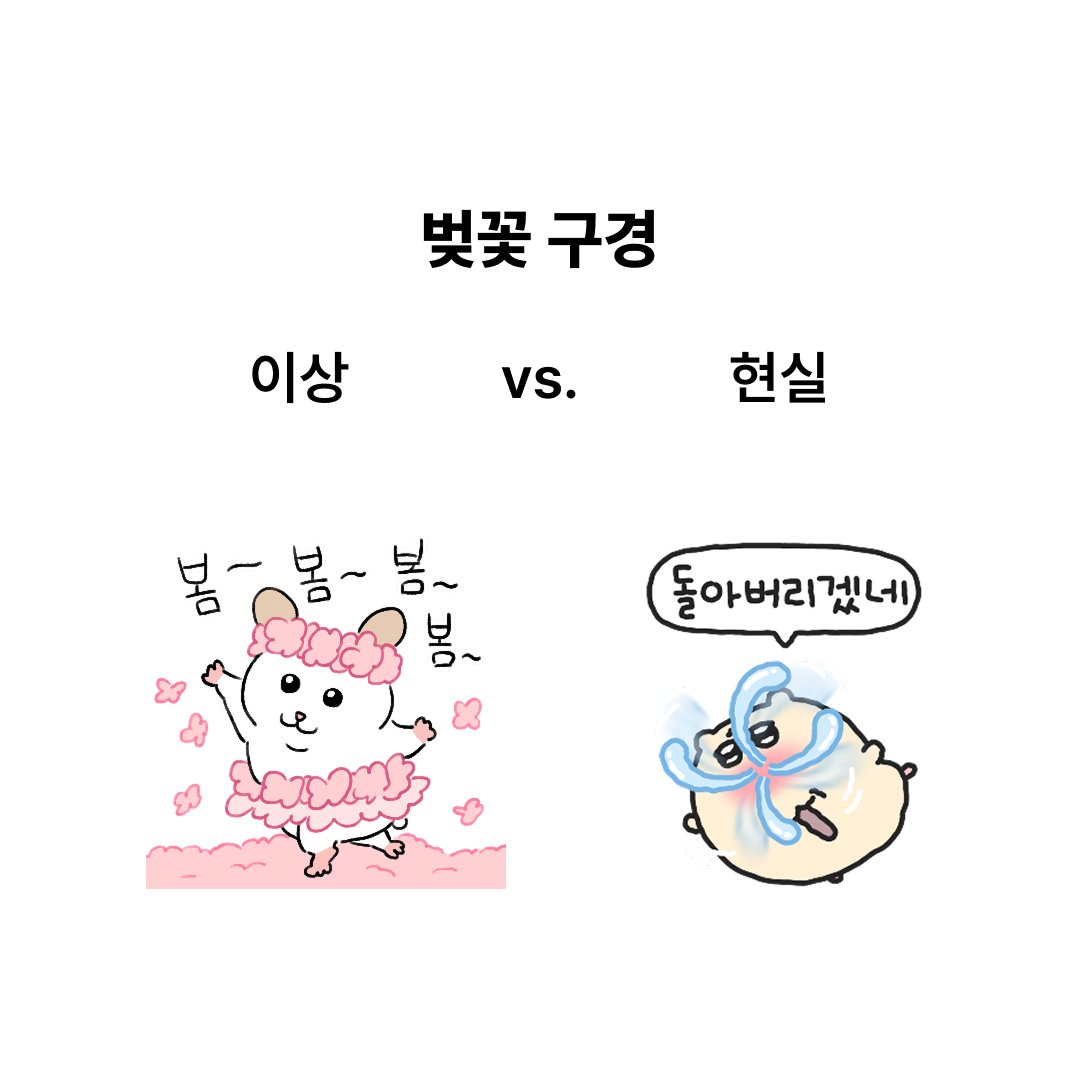 카카오 이모티콘 tweet media