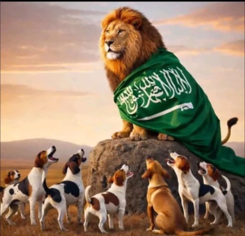 الحجاج tweet media