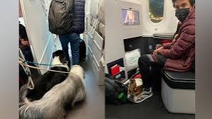 christopher ramos "El Rolo" tweet media