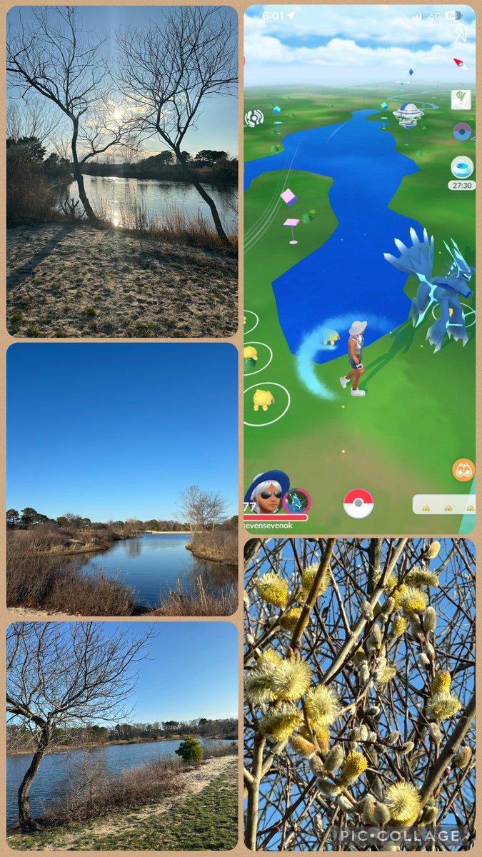 sevensevenok's tweet image. Yesterdays #views 
We are on the brink of WWIII and I want to be sure I enjoy little moments and some peace of mind as best as I can ! 
Wishing you well 💛
#PokemonGo #PokemonGoApp #Moments #PokemonGOFest2026  #Pokemon #Nature  💐