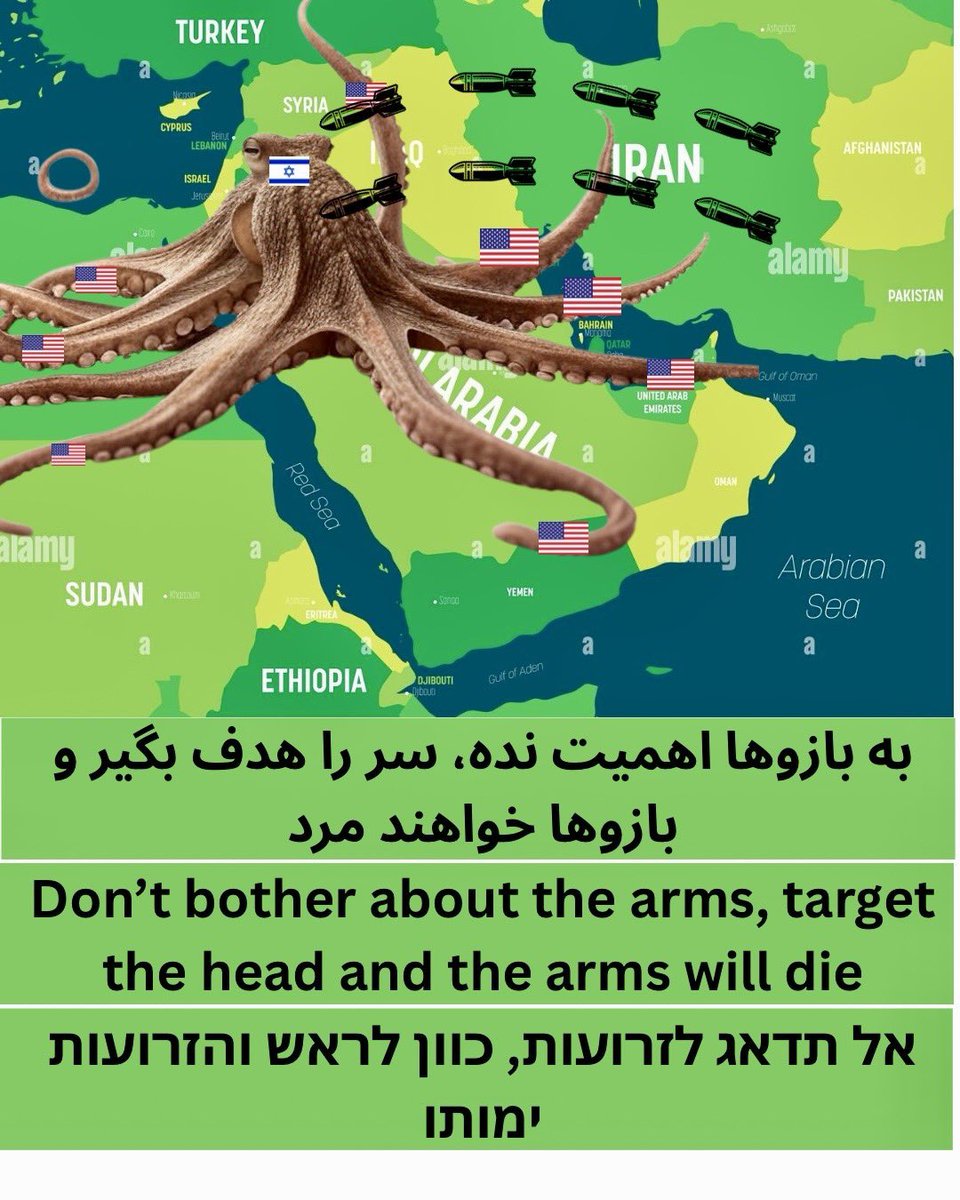 SAIF Al-Hajri 🔻 tweet media