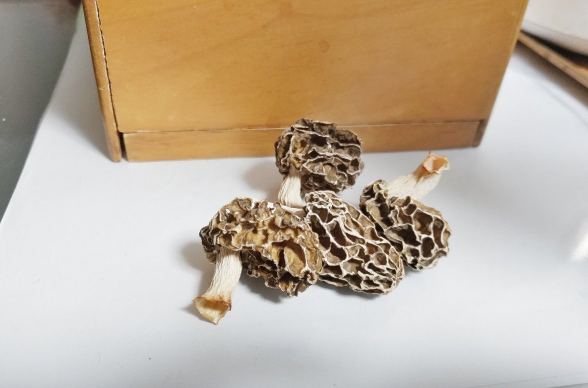 早朝仕事行く前に乾燥工程終了！カリカリになったけどある程度溜まったら真空パックで保存するとしよう。今年は何本採れるかな？