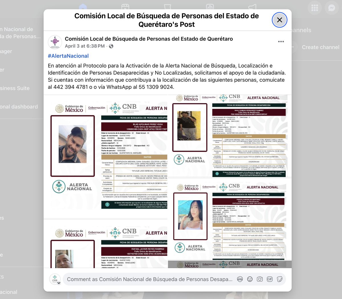 Comisión Nal. de Búsqueda Mx tweet media