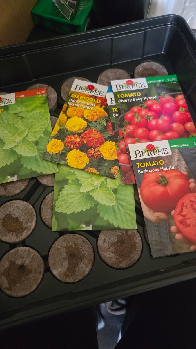 magicalamberjade🎀🧜‍♀️🧚🔞 tweet media