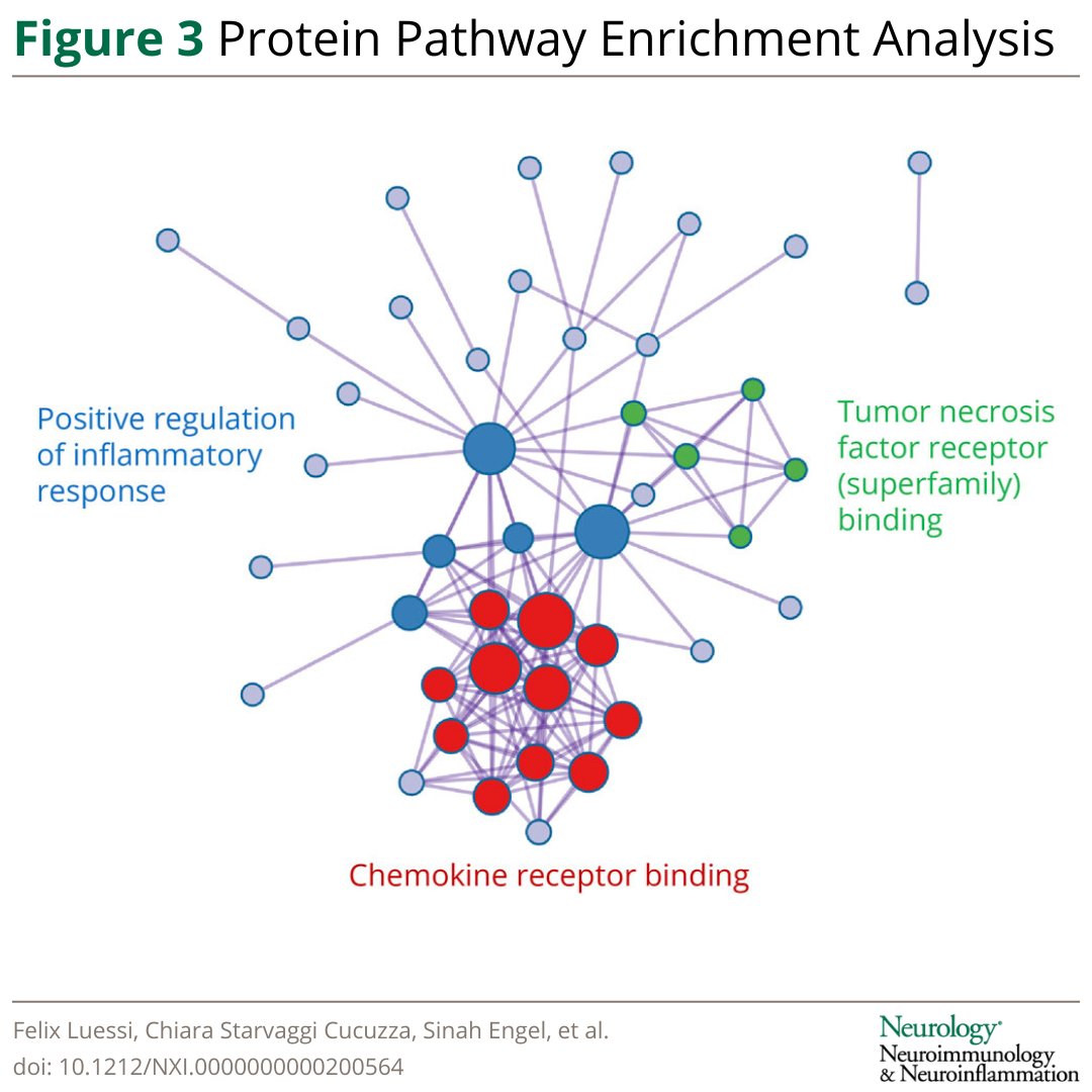 GreenJournal's tweet image. This study published in Neurology Neuroimmunology &amp;amp; Neuroinflammation identified a set of CSF proteins correlating with a soluble biomarker proxy of ongoing neuroaxonal degeneration in early multiple sclerosis: hubs.ly/Q049l0DZ0

#NeuroTwitter #MS