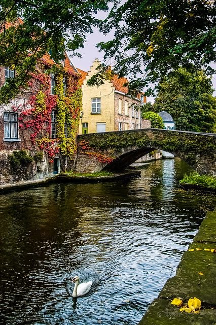 echoesofworld's tweet photo. Belgium https://t.co/cY0507RuXA