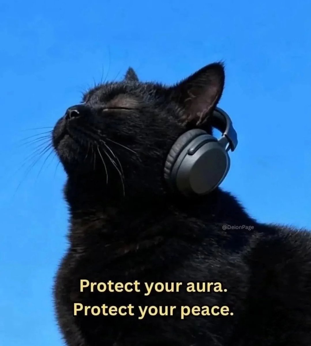 Mind Essentials tweet media