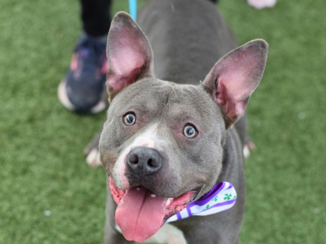 Not the Same tweet media