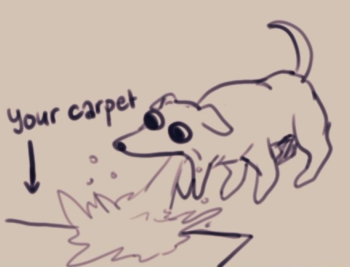 Hanami Momo 🌸 🌹【2.0 DEBUT 2026】 tweet media