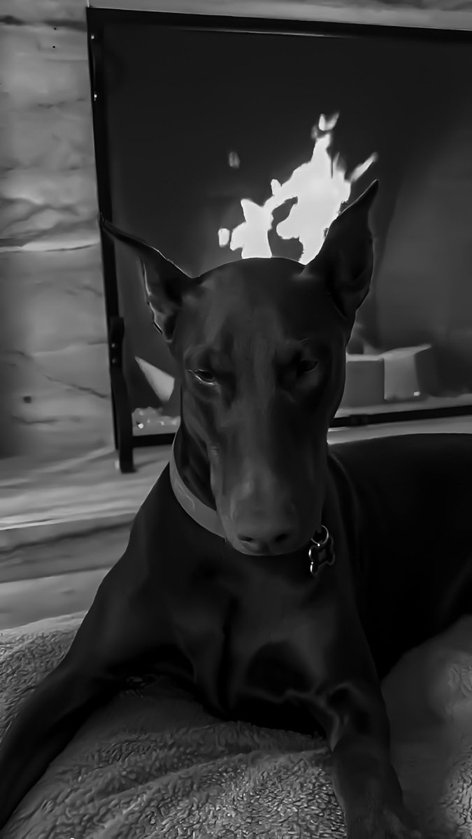 Wade 𝔇. Archer, भींगइ बा in Whisky Temptation. tweet media