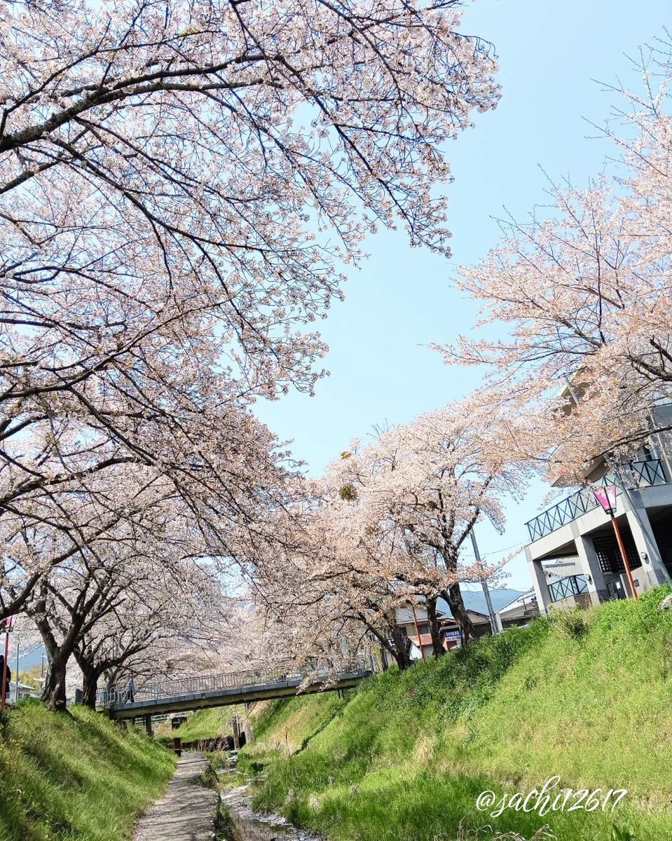 幸（さち）👒 tweet media