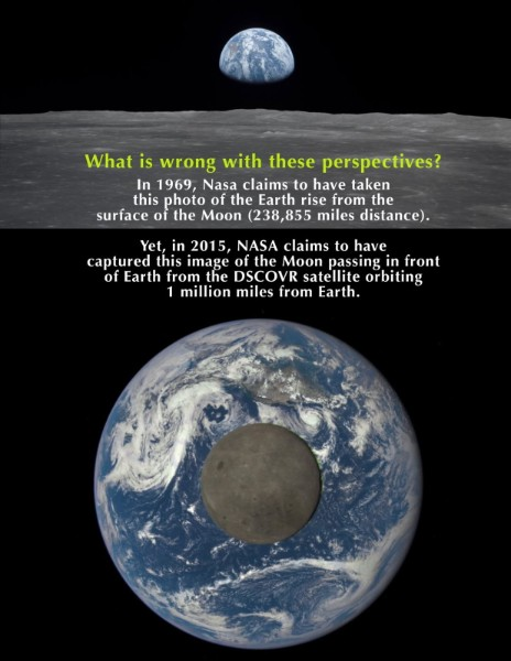 Model Citizen tweet media