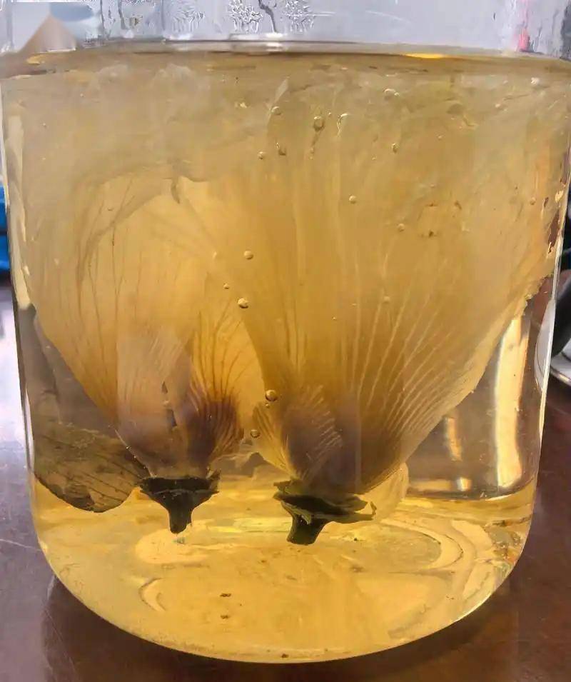 Camera Review tweet media