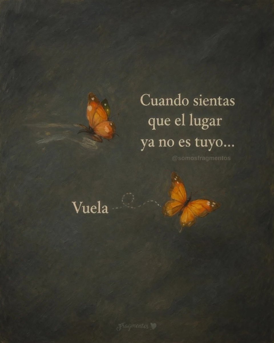 Fabiolacarolina tweet media
