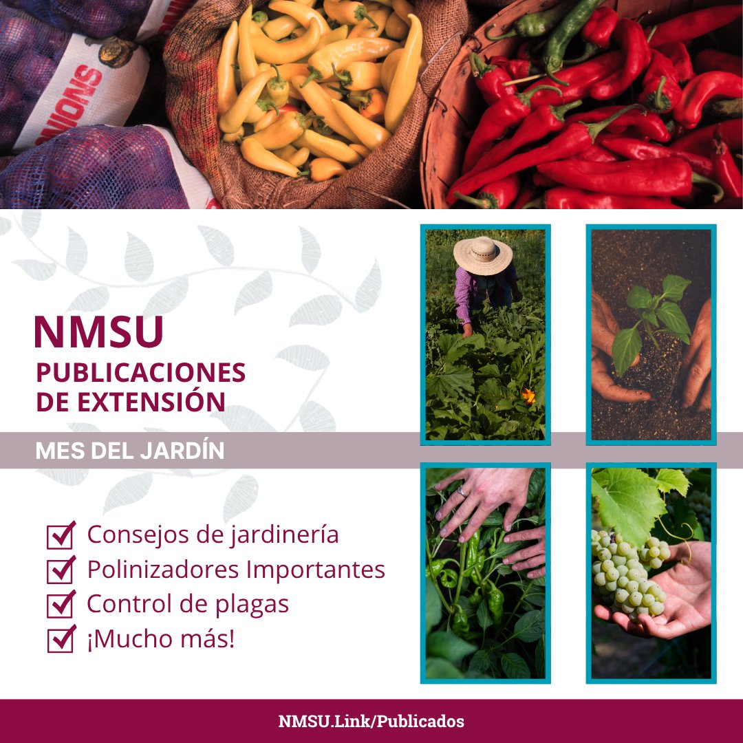 NMSU Extension Pubs tweet media