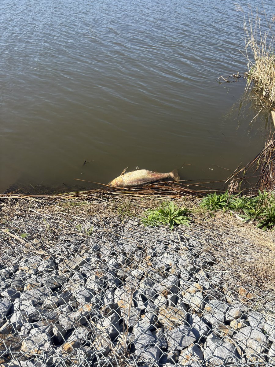 Yusuke Sansuke tweet media