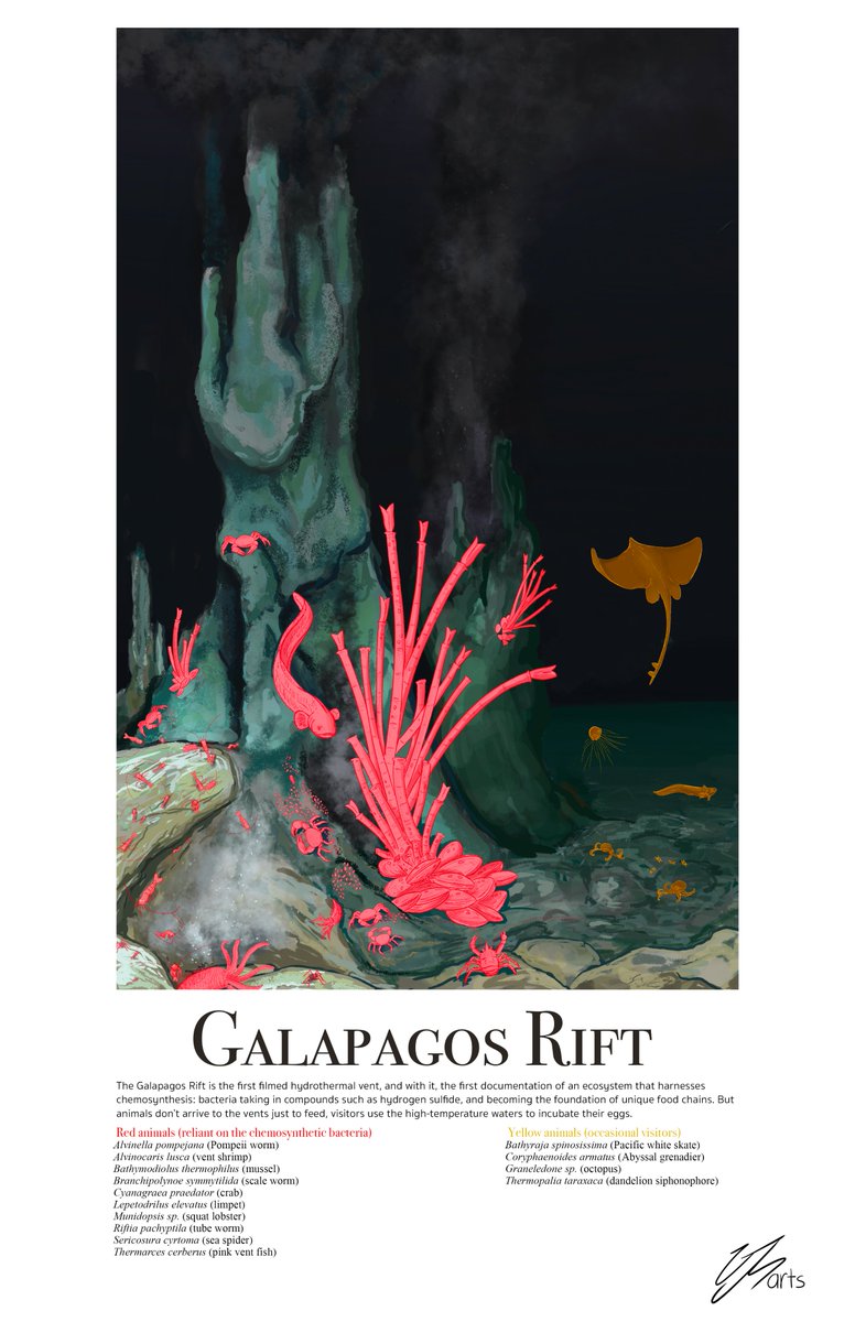 CJSea tweet media
