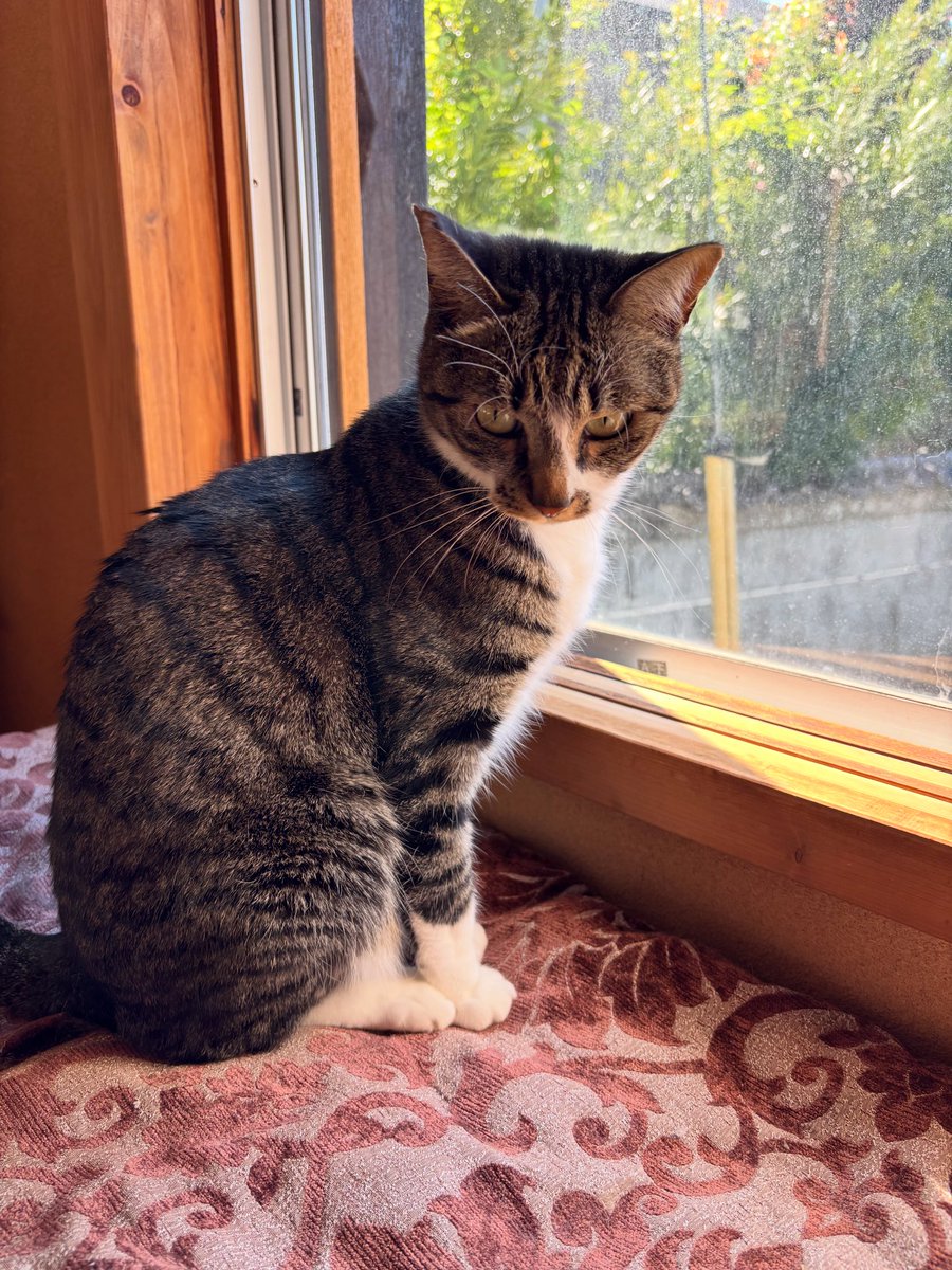 そうねん tweet media