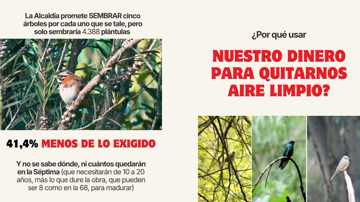 Defendamos la Séptima - Comité Ciudadano tweet media