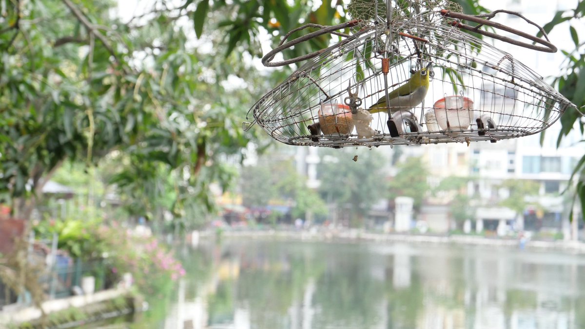 🅄🄼🄴 tweet media