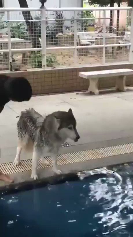 傳田有矢(Arte Refact) / polysha tweet media