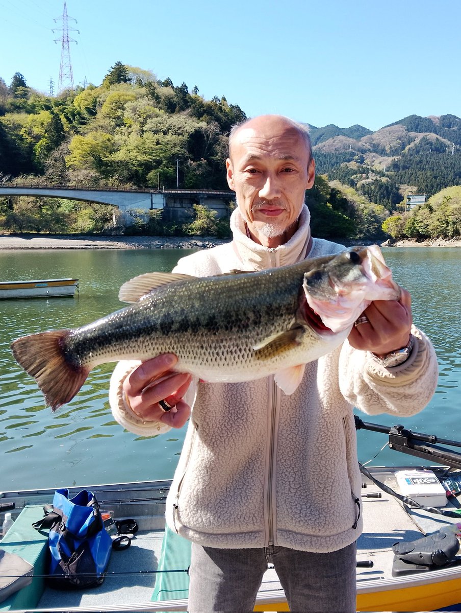 釣船小川亭@相模湖 tweet media