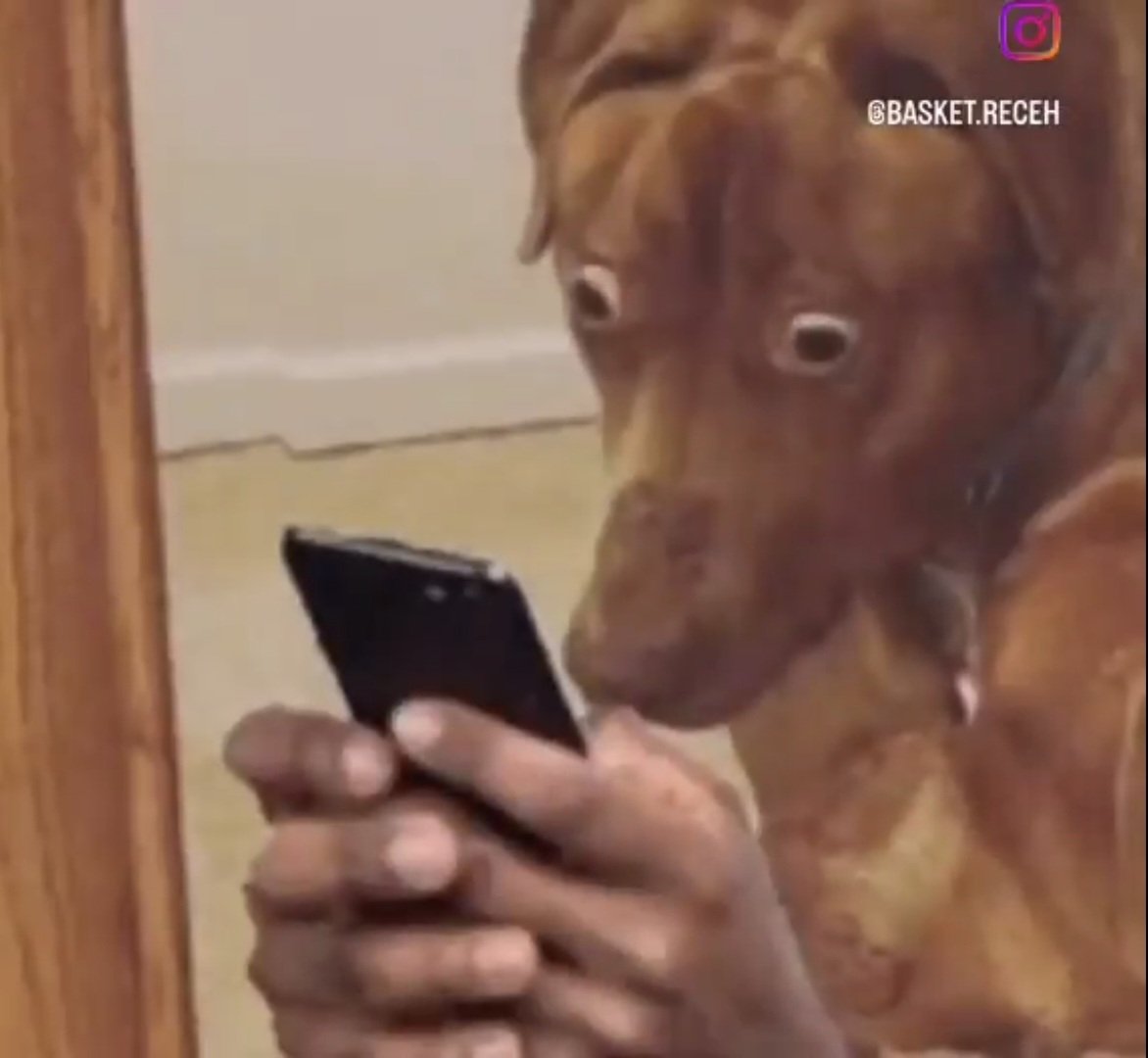 jalboy152 tweet media