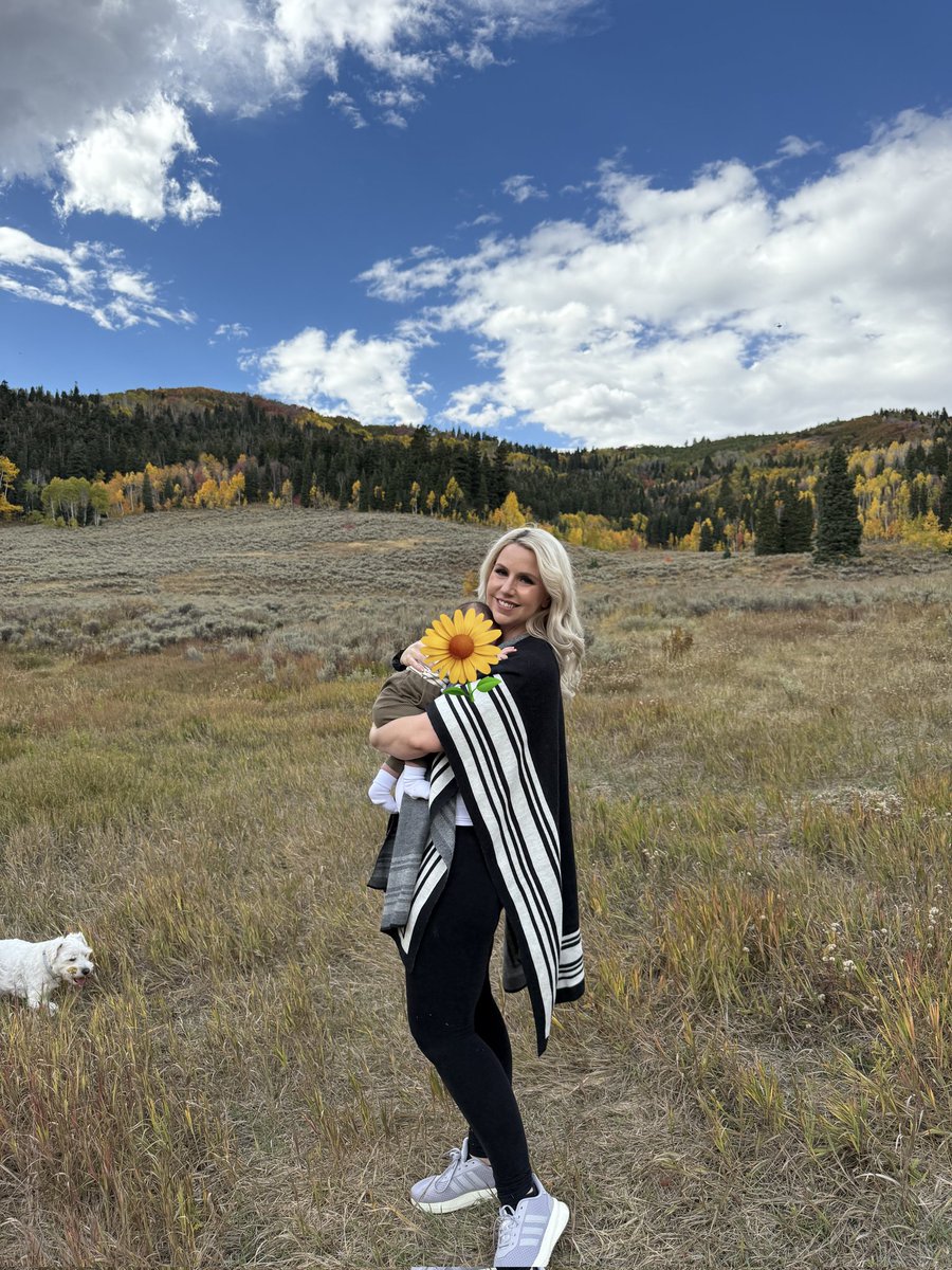 Dani Ahn Direct tweet media