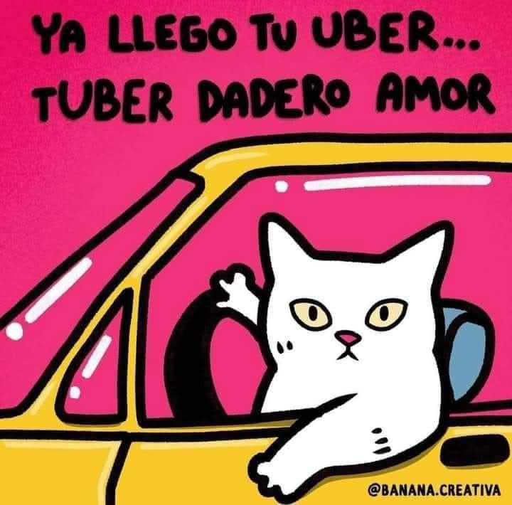 Call me Khaleesi 🐉☕🐉☕🐉 tweet media