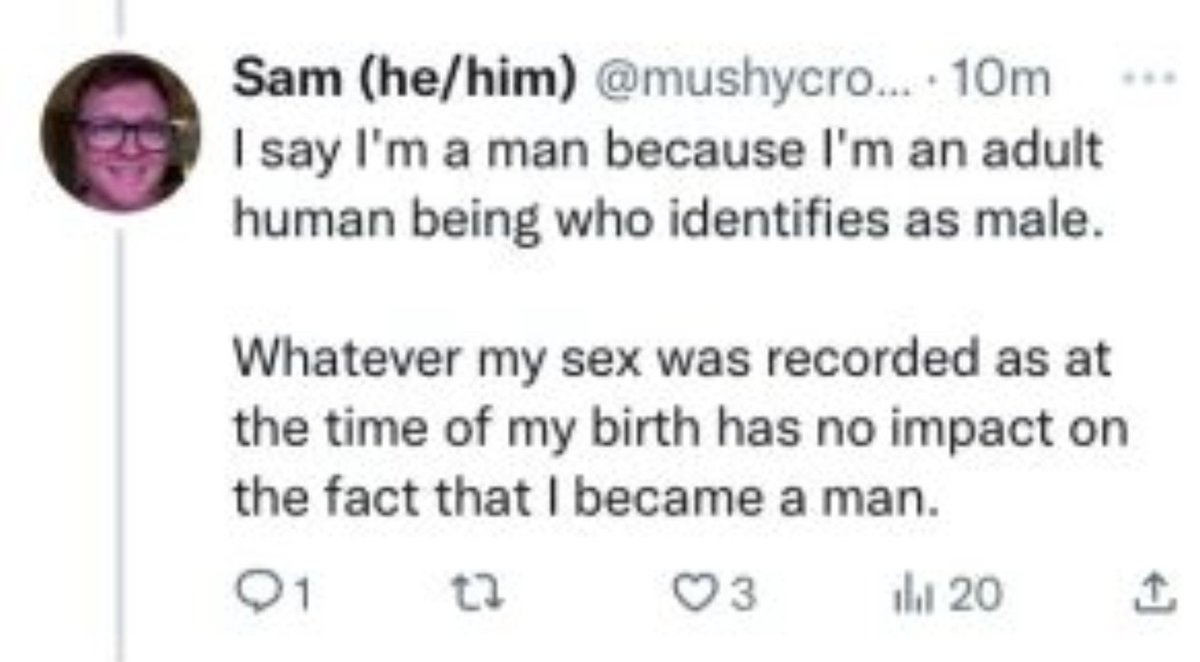 Fred Sargeant 🏳️‍🌈 🟦 tweet media