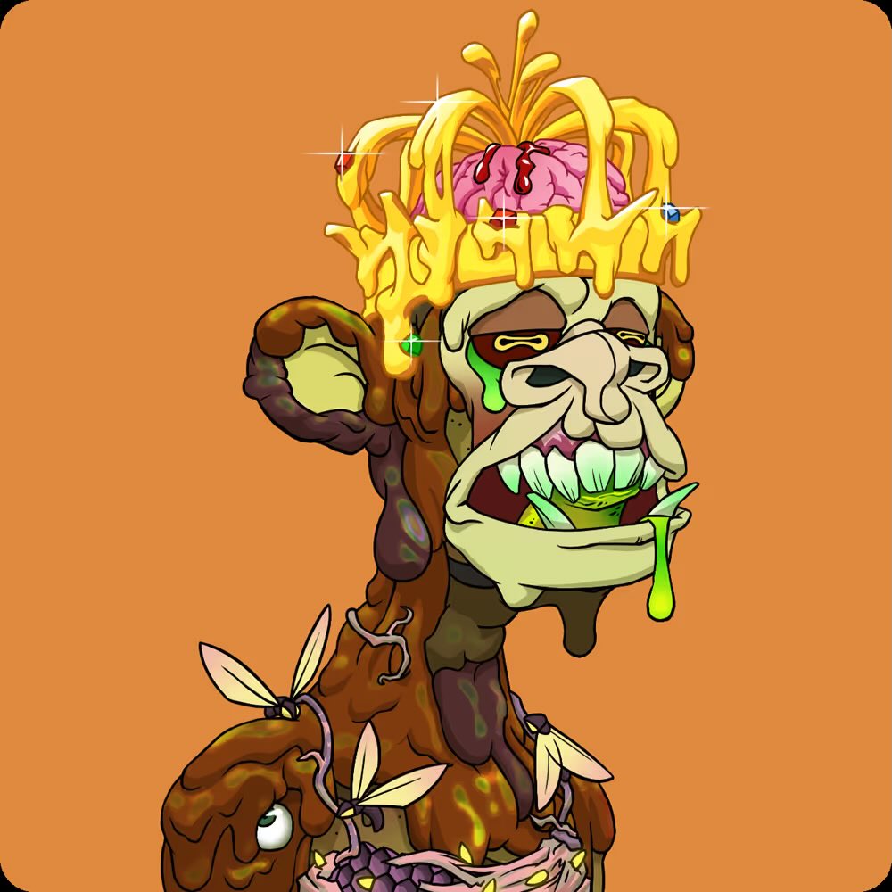 Rupp 🐶 tweet media