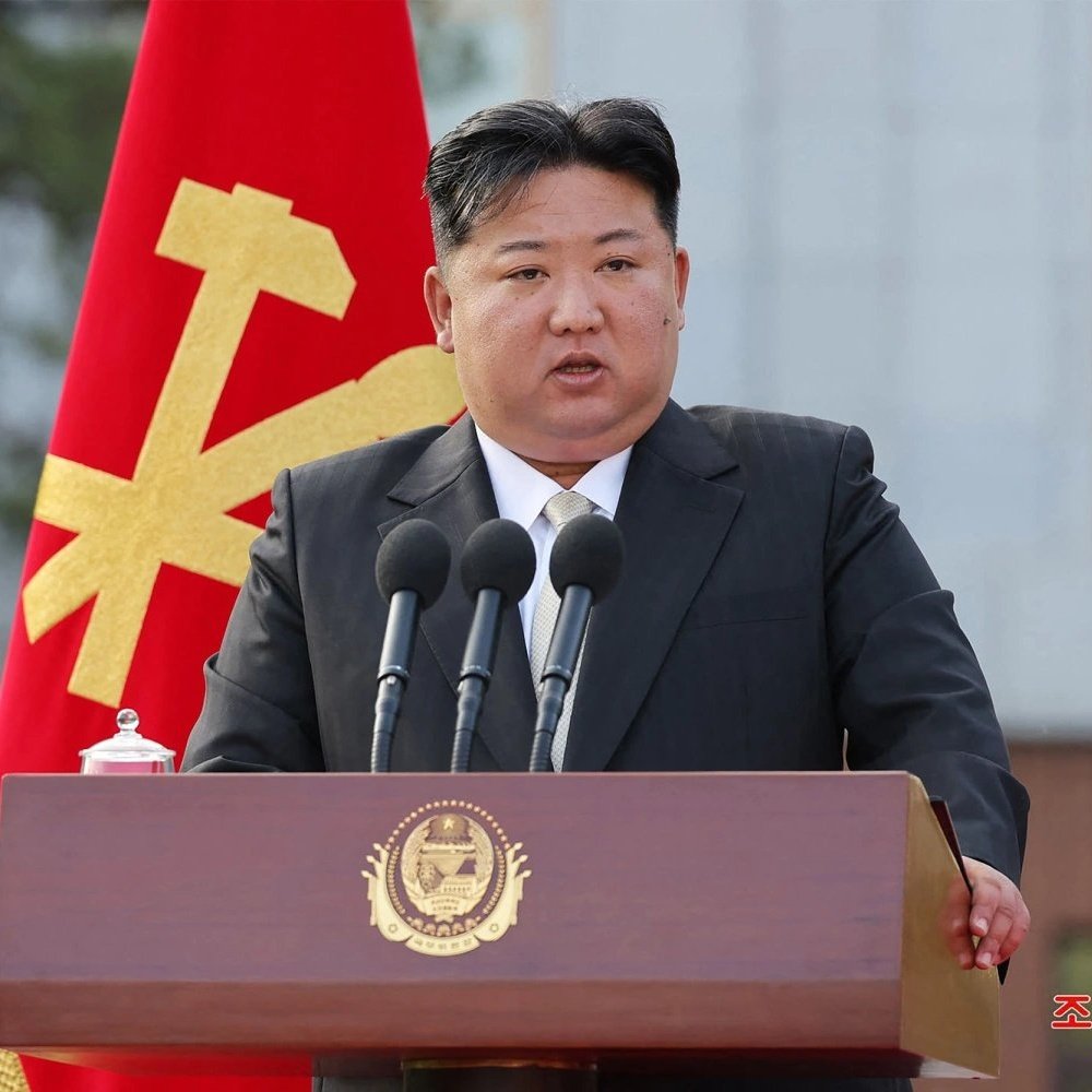 ✦✦✦ 𝙿𝚊𝚖𝚙𝚑𝚕𝚎𝚝𝚜 ✦✦✦ tweet media