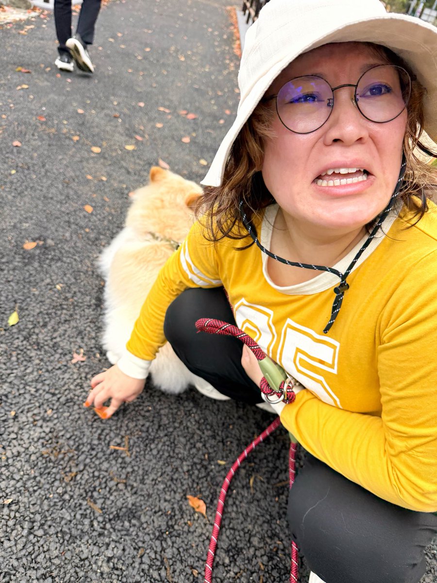 バービー tweet media